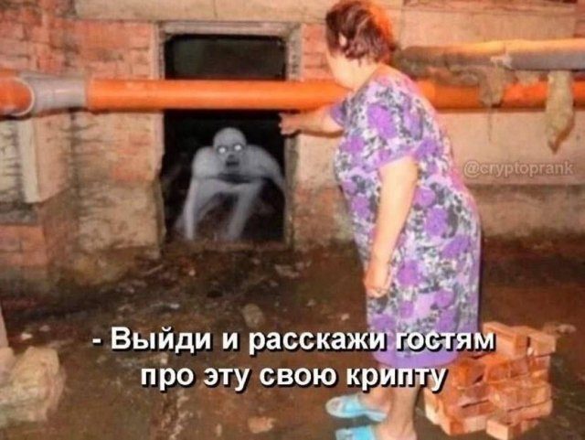 Шутки и мемы