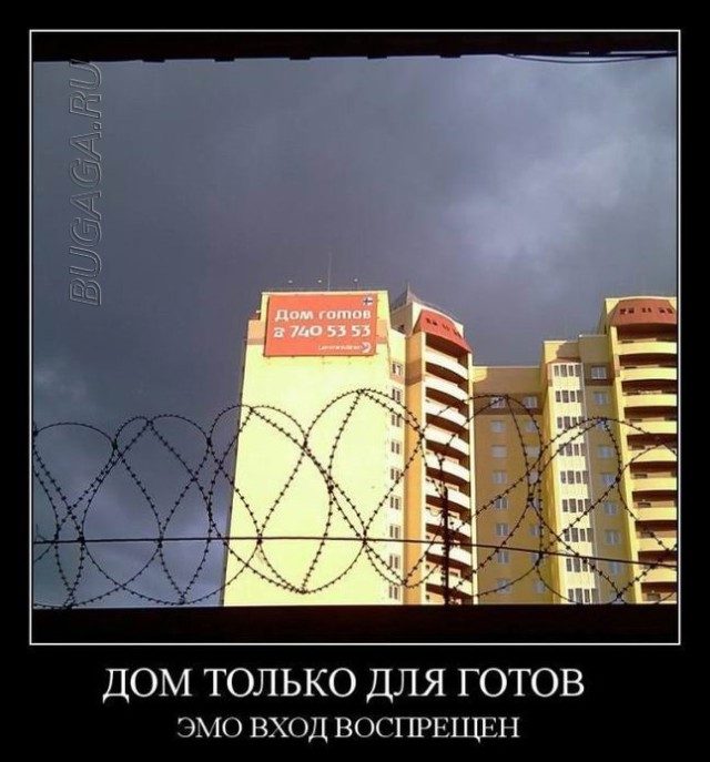 Демотиваторы – приколы