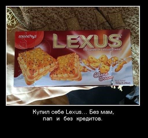 Демотиваторы дня
