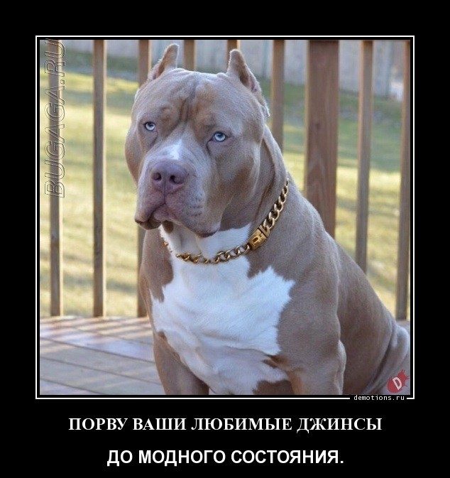 Демотиваторы дня