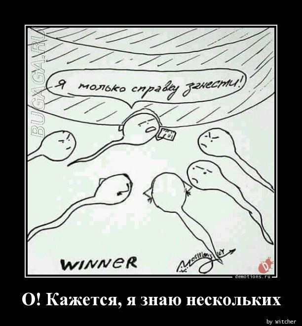 Демотиваторы дня