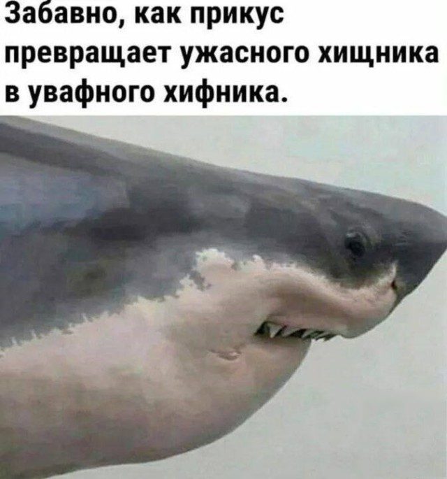Новая порция фотоприколов