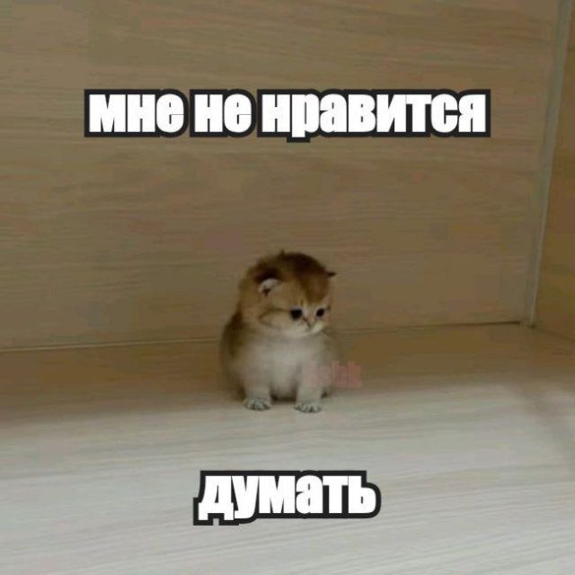 Мемы