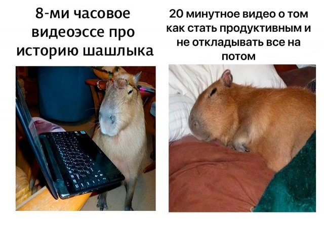 Смешные мемы