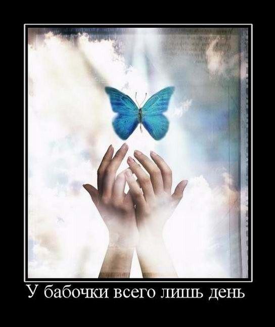 Демотиваторы — приколы