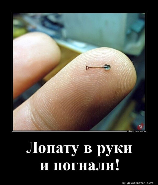 Демотиваторы — приколы