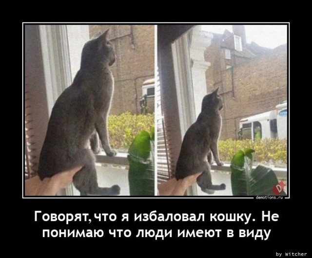 Демотиваторов пост