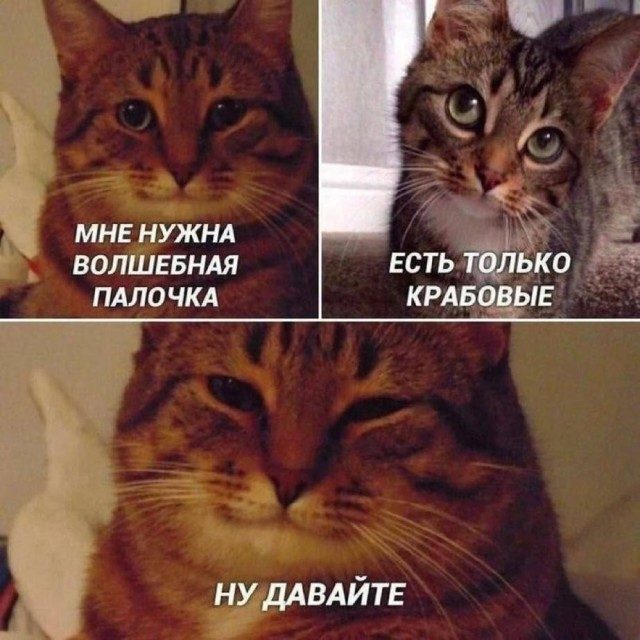 Весёлые картинки дня