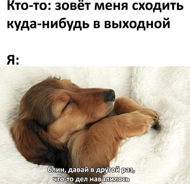 Не ищите здесь смысл