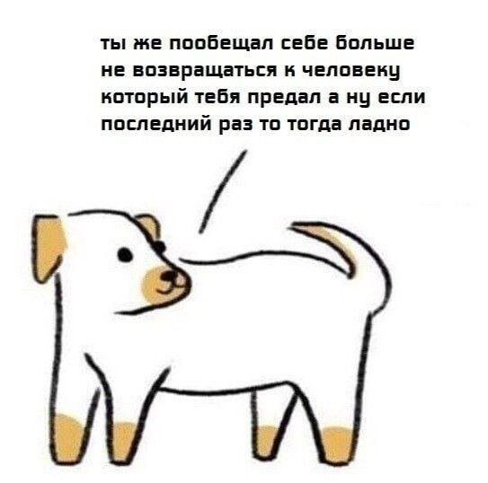 Не ищите здесь смысл