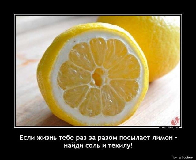 Демотиваторы для всех