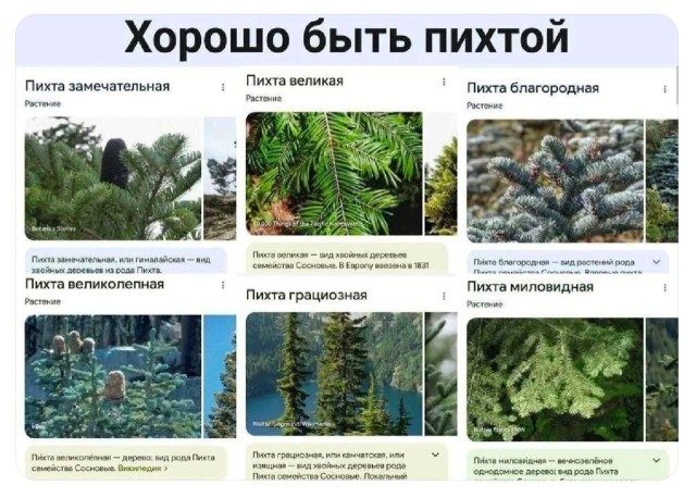 Пятничные фотоприколы