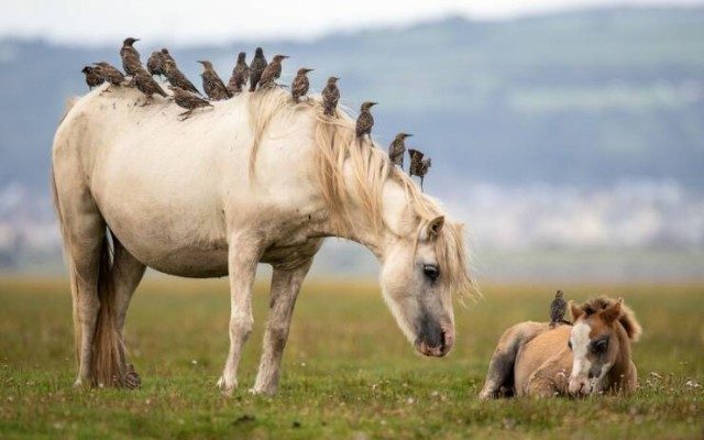 Пятничные фотоприколы