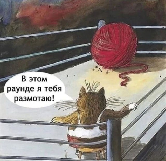 Лучшие шутки и мемы из Сети
