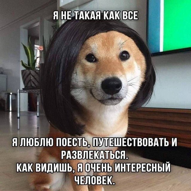 Лучшие шутки и мемы из Сети