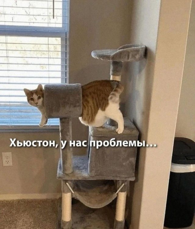 Лучшие шутки и мемы из Сети