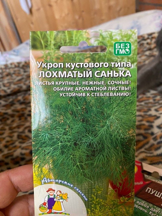 Смешные объявления, вывески и реклама