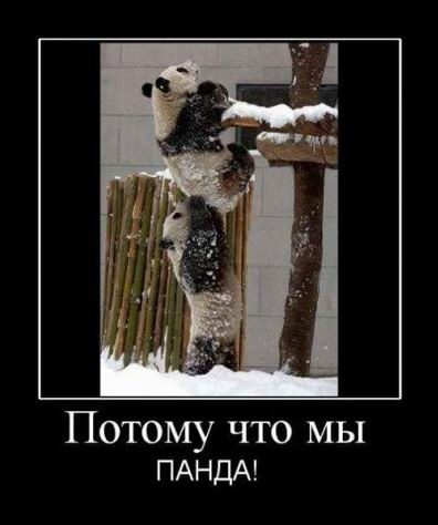 Демотиваторы для всех
