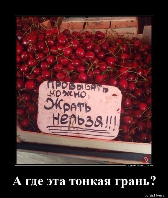 Демотиваторы – приколы на любой вкус