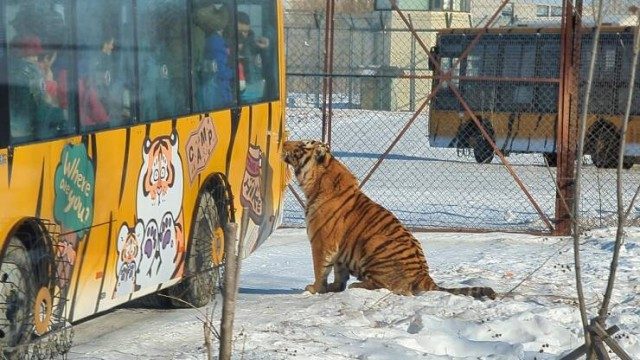 Прикольные картинки дня