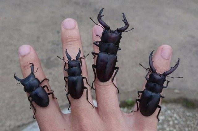 Прикольные картинки дня