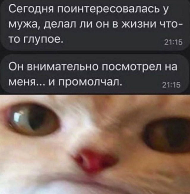 Лучшие шутки и мемы