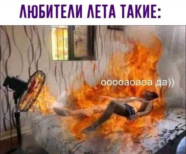 Лучшие шутки и мемы