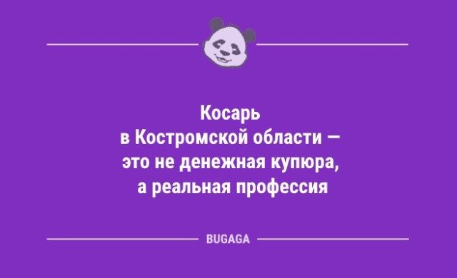 Анекдоты дня