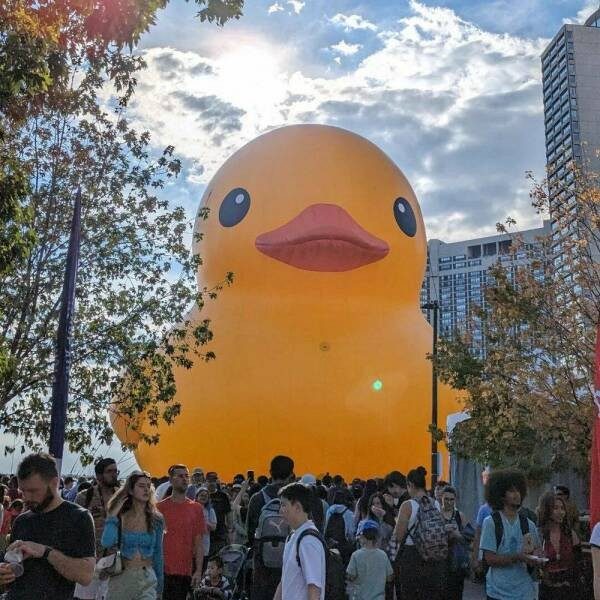 Фотоприколы