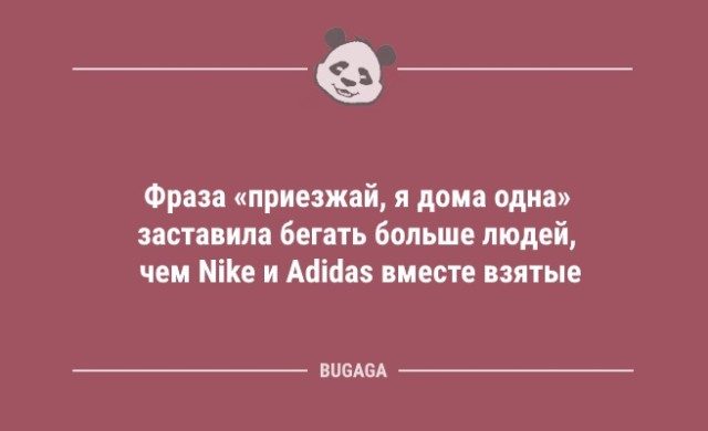 Анекдоты и шутки