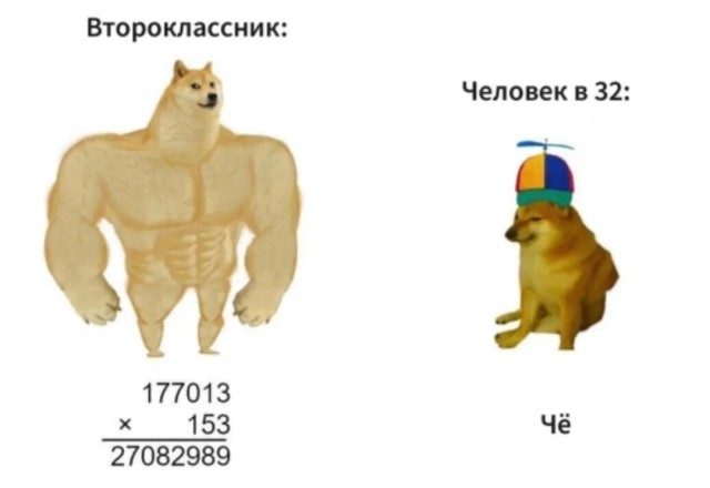 Пятничная коллекция фотоприколов