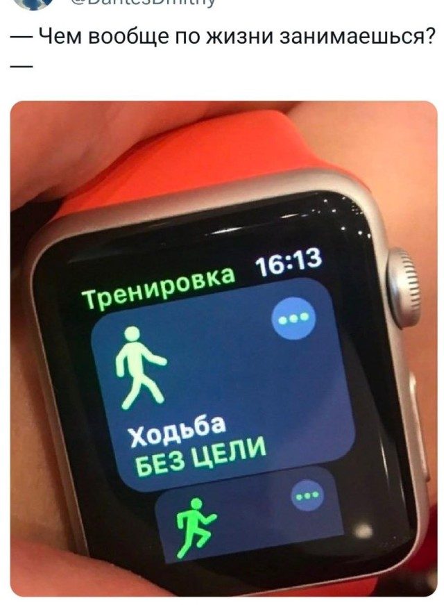 Пятничная коллекция фотоприколов