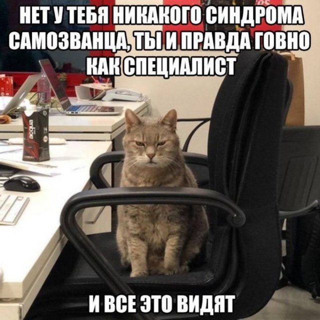 Лучшие шутки и мемы из Сети