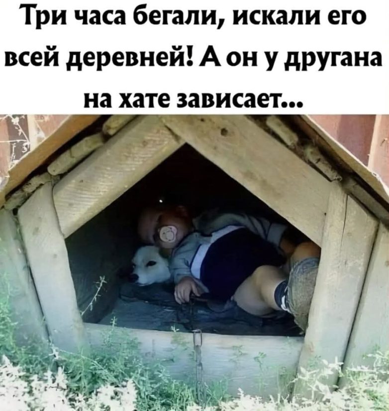 Улыбатор