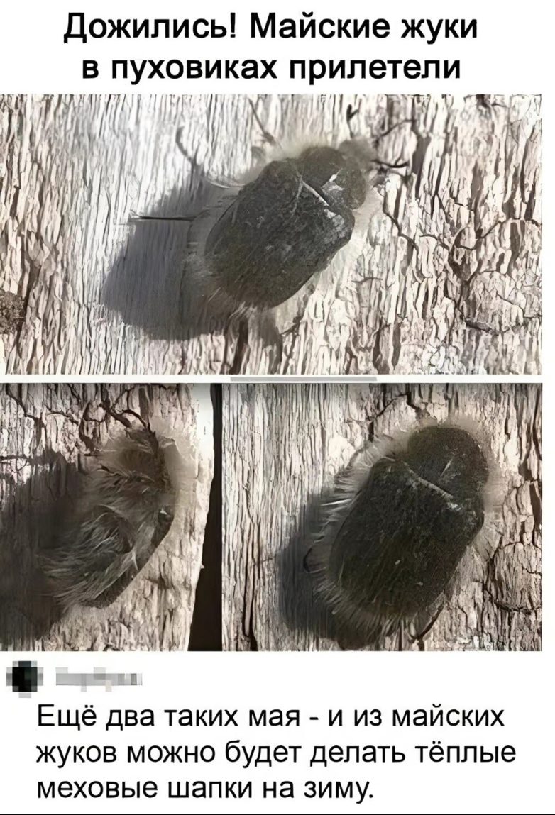 Улыбатор