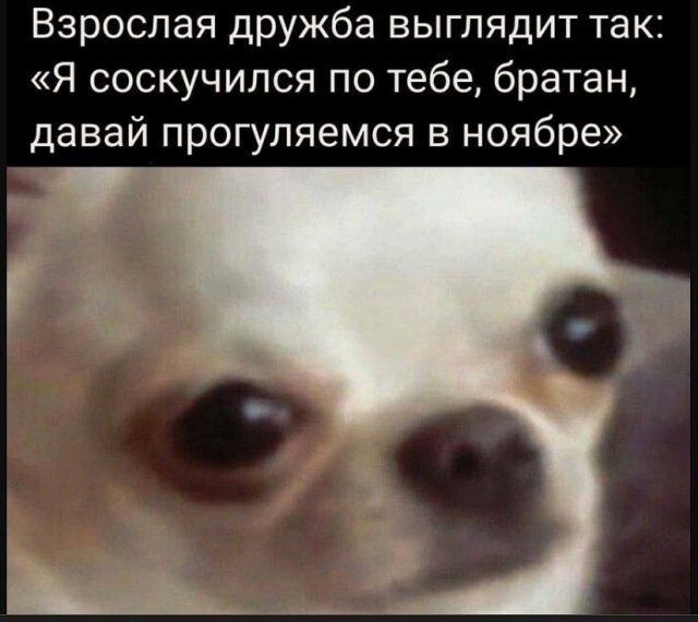 Скрины из соцсетей