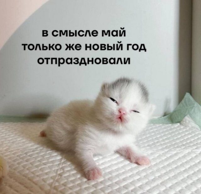 Скрины из соцсетей