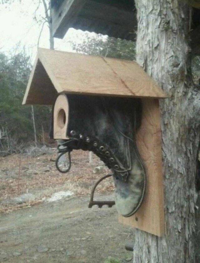 Свежие фотоприколы