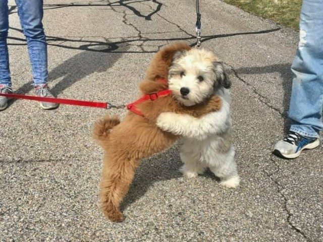 Свежие фотоприколы