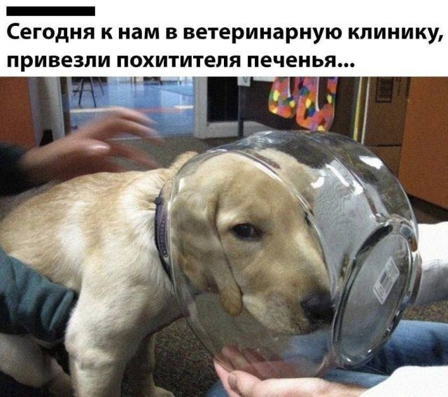 Лучшие шутки и мемы из Сети
