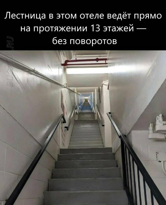 Фотоприколы дня