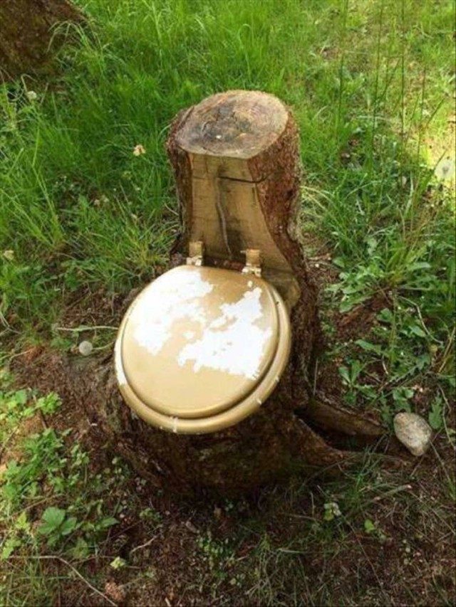 Фотоприколы дня