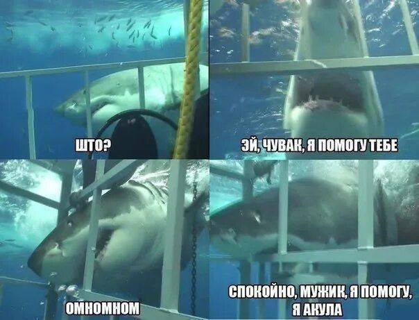 Лучшие шутки и мемы из Сети