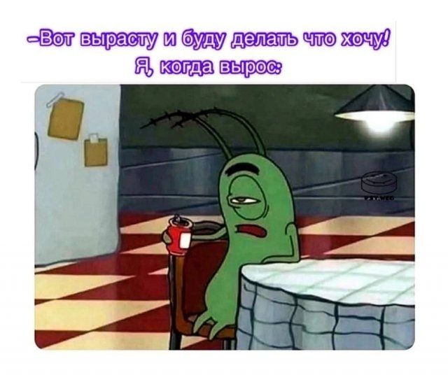 Лучшие шутки и мемы из Сети