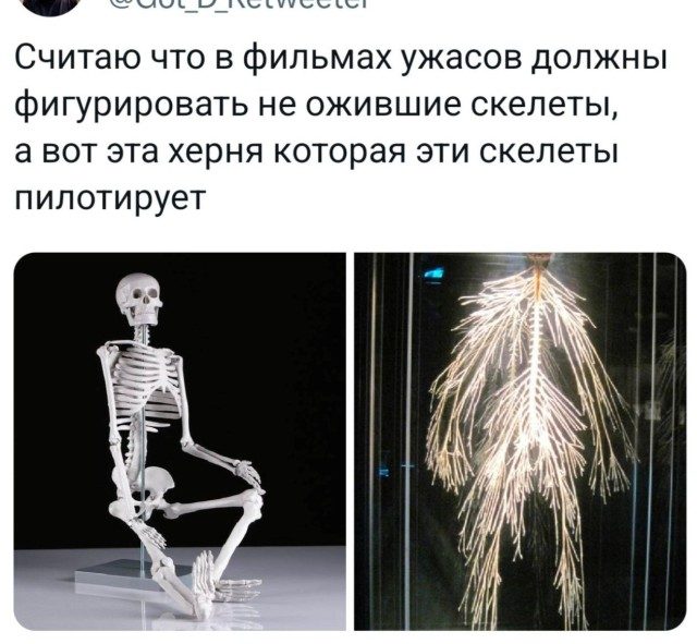 Порция позитива в прикольных картинках