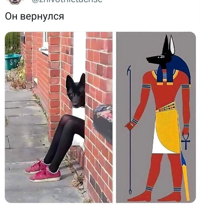 Порция позитива в прикольных картинках