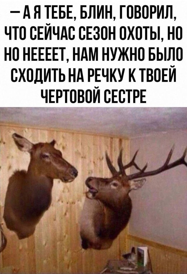 Лучшие мемы