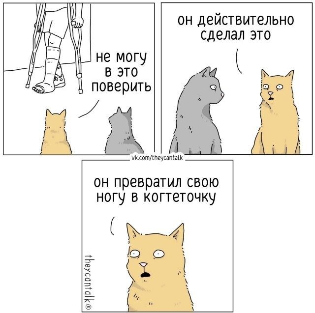 Здесь в основном маразм
