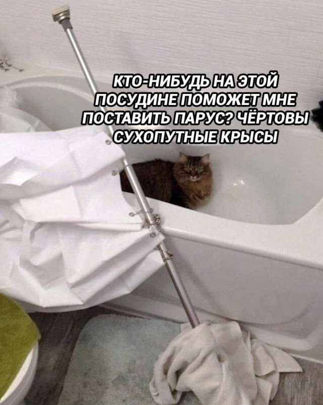 Здесь в основном маразм