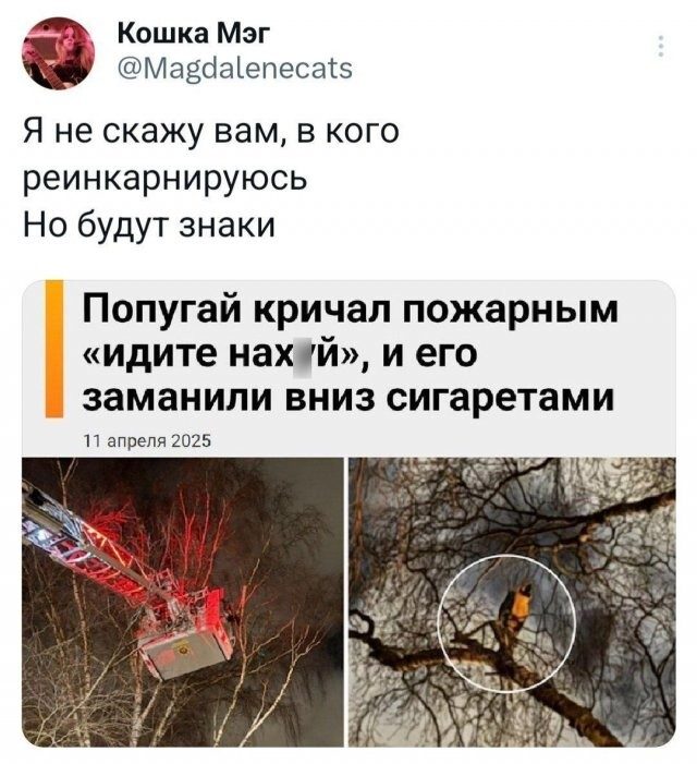 Маразм